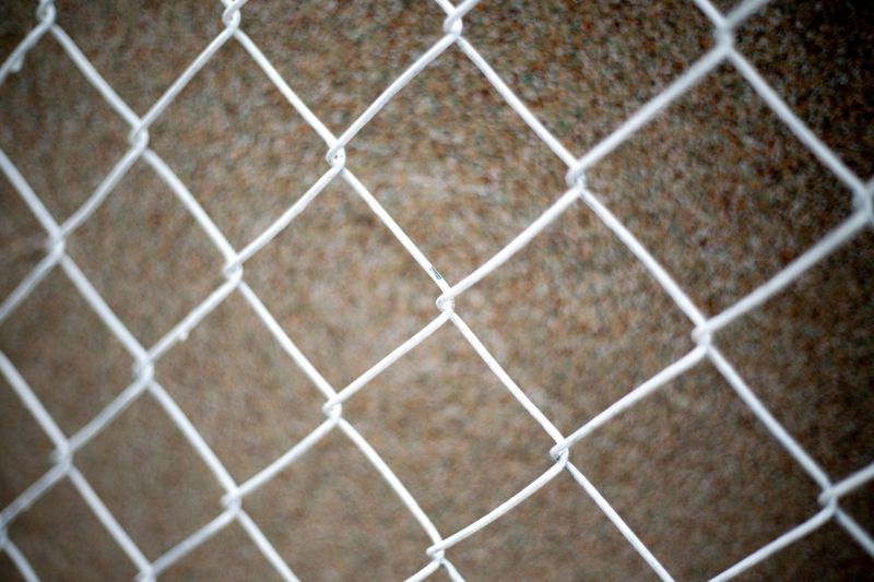 Wire Mesh Fence Installation in South Houston, TX